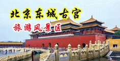 靠尻图片屌中国北京-东城古宫旅游风景区